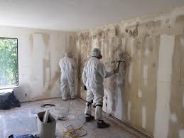 Why You Should Choose Our Mold Remediation Services in North Fort Lewis, WA